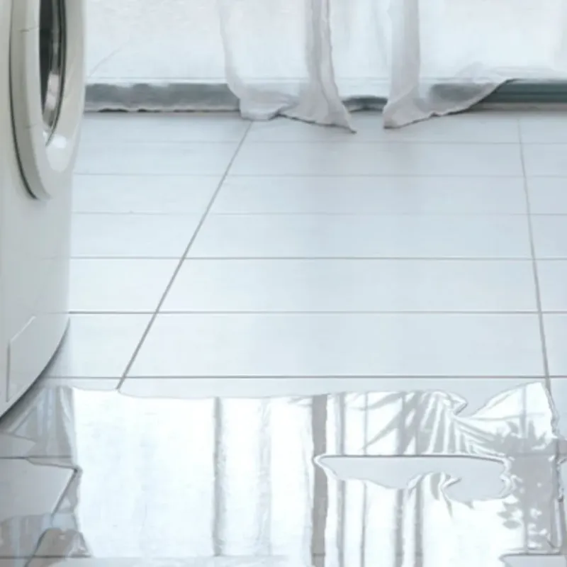 Appliance Leak Cleanup in Lavalette, WV
