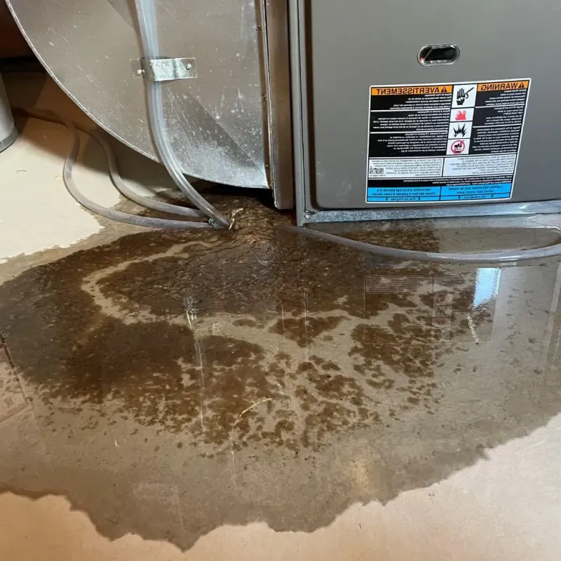 Pipe Burst and Leak Restoration in Lavalette, WV
