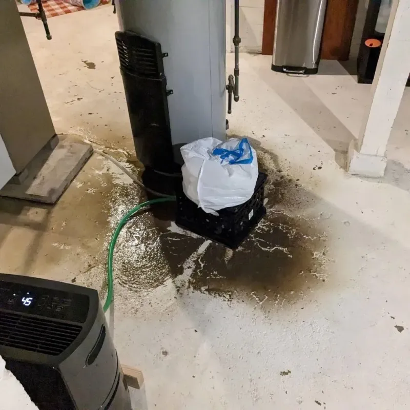 Sewage Backup Cleanup Service in Lavalette, WV
